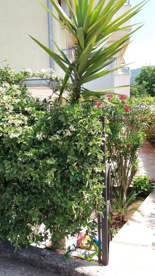 Апартаменты Apartments Boka Sun Биела-26