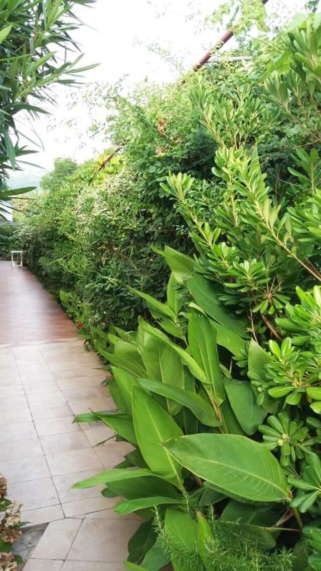 Апартаменты Apartments Boka Sun Биела-40