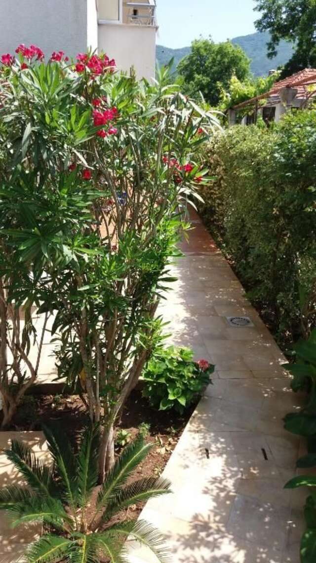Апартаменты Apartments Boka Sun Биела-51